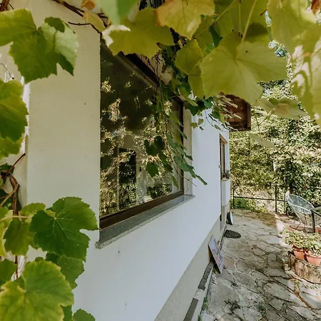 Domek letniskowy Herzegovina Boracko Jezero *