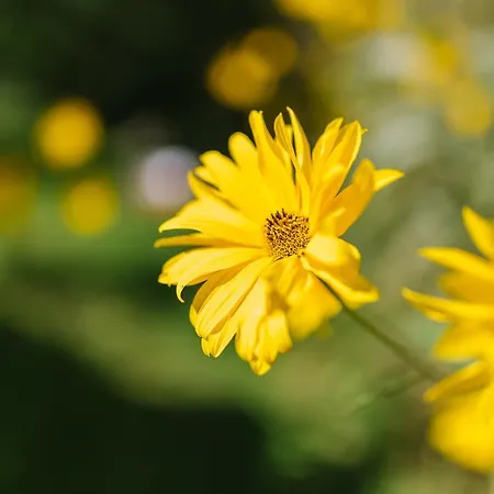 Herzegovina Boracko Jezero Konjic