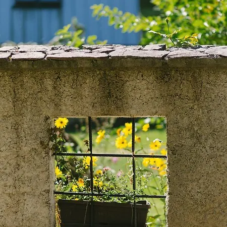 롯지 Herzegovina Boracko Jezero *